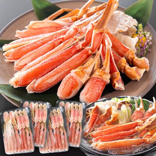 H̒Bl Jbgς 킢 2.4kg(600g×4) (d2.8kg) Jj  킢I ɓ ĂI Zbg H 킢 YCKj