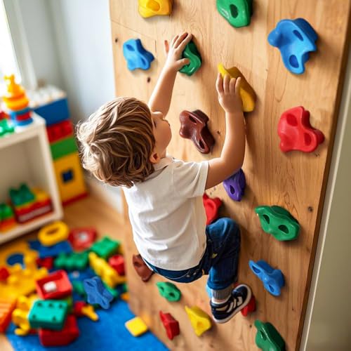image for TOPNEW 25PCS Rock Climbing Holds for Kids, Large Climbing Holds for Pl