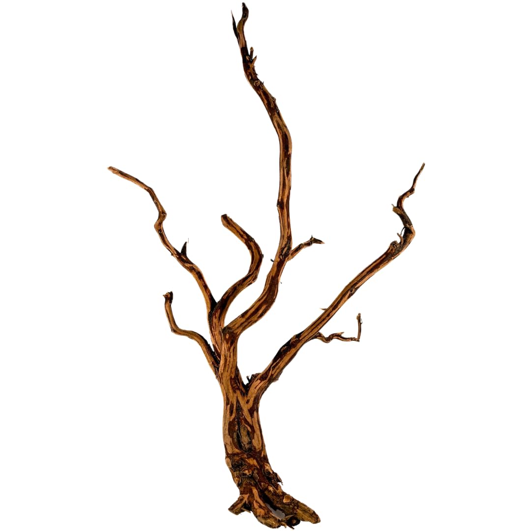 Natunae - Red Spider King Wood Wood Decorative Root for Aquarium Terrarium, Paludarium S 20-30 cm