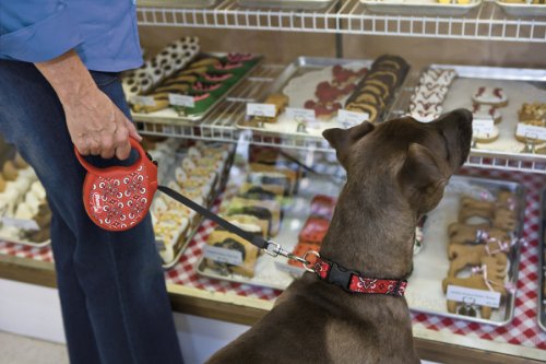 Wild-west-Flexi-Classic-Dog-Lead-Dog-Size-Small-Up-To-12-kg