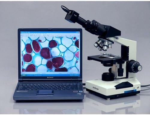Miniatura 5 de AmScope Microscopio binocular compuesto B490B-LED, oculares WF10x y WF20x, aumento 40X-2000X, Brightfield, iluminación LED, condensador Abbe, etapa