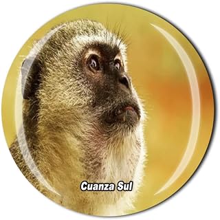 Cuanza Sul Angola Fridge Magnet Crystal Tourist Souvenir Gift Collection Refrigerator Magnetic Sticker