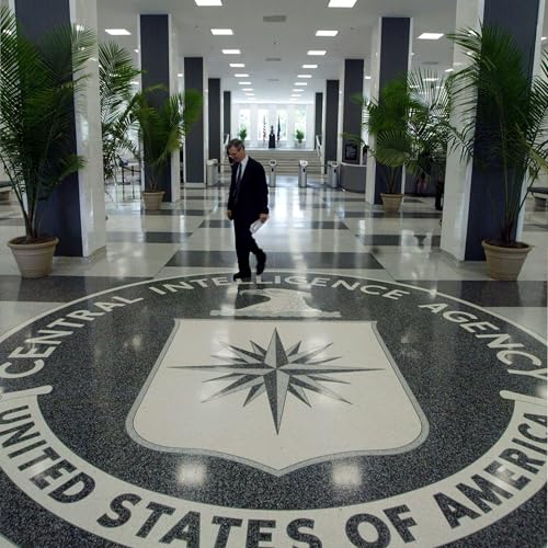 Tradecraft and secrets of a CIA analyst-turned novelist