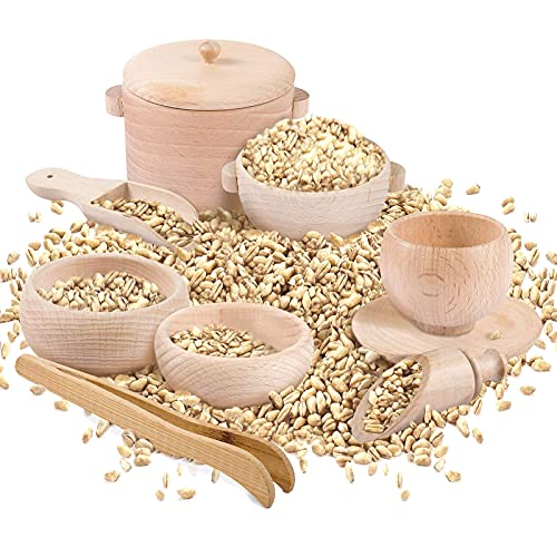 Image of Set of 8 Toddlers Mon-Tessori Sensory Bin Tools- Wooden Toys Dish Scoops and Tongs Set Educational Fine Motor Training Toys for Preschool Kids Children Toddlers Motor Transfer Work Learning