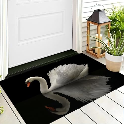 Paillasson Extérieur Intérieur Tapis de Cuisine Antidérapant Noir