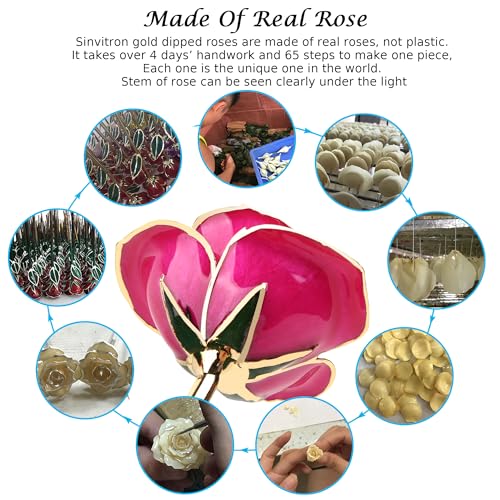 Image of Sinvitron Gold Dipped Infinity Rose - Eternal Resin-Preserved Rose | Forever Flower Decor for Birthdays, Mother's Day, Anniversaries | Unique Gift for Women, Mom, Wife (Peach Pink)