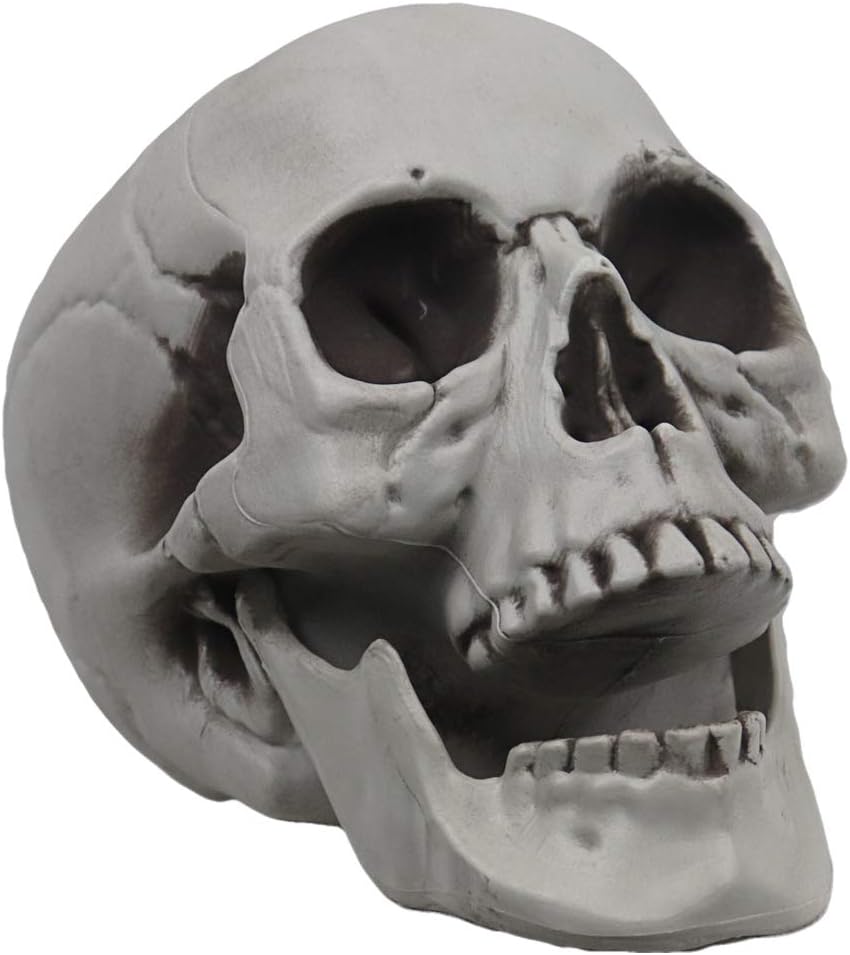 MOKRY PARTY Life Size Skeleton Skull for Halloween Decor Graveyard Outdoor White