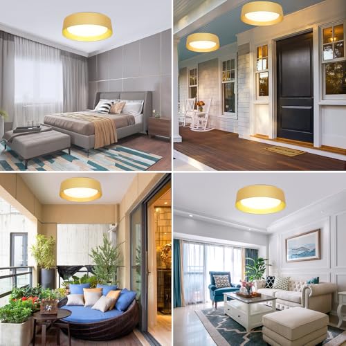 Image of Flush Mount Ceiling Light, 16in Modern Ceiling Light 5 Color Temperature