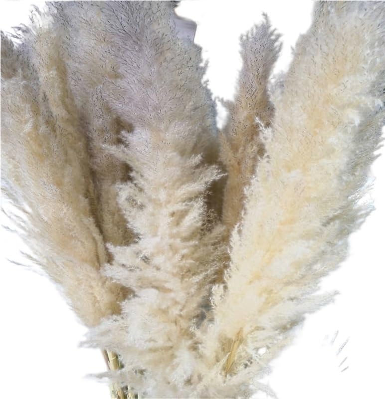 Ramo de Hierba Pampas Grande 110-120cm 5 Piezas miniatura 3