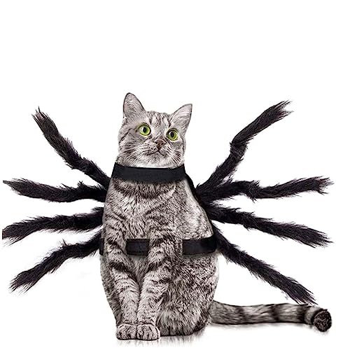 Disfraz de Araña para Mascotas Halloween 60x23 cm miniatura 3