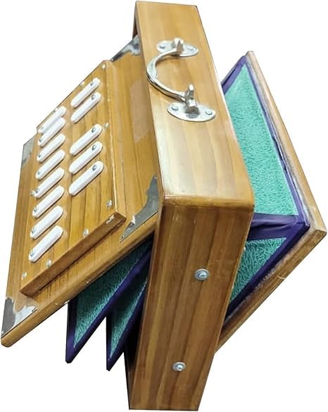 Shruti Box 30,5 cm pour instrument de musique, surpet accordé à 432 Hz, boîte Shruti en bois de teck avec sac de transport