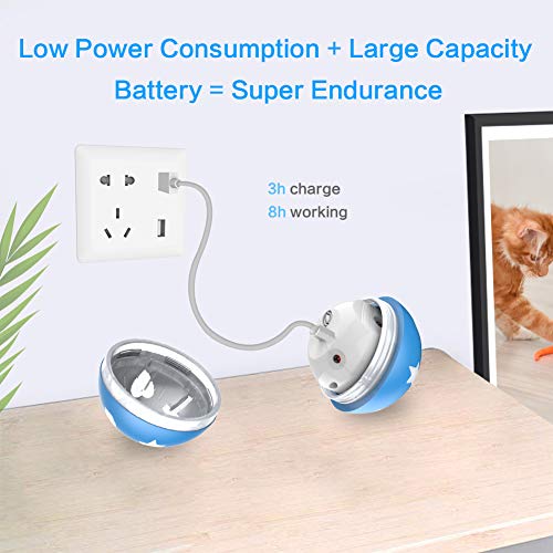 Buying Guide BENTOPAL Interactive Dog Toy Wicked Ball for Indoor Cats