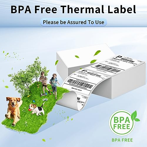 Image of Phomemo Thermal Label Printer with Ethernet & Bluetooth Connectivity & 1000Pcs 4X6 Thermal Shipping Label Compatible with USPS /UPS & More, Shipping Label Printer for Home & Small Business