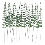 HOMBEMO 15PCS Artificial Eucalyptus Stems Decor, Fake Dried Eucalyptus Leaves Real Touch, Faux Green