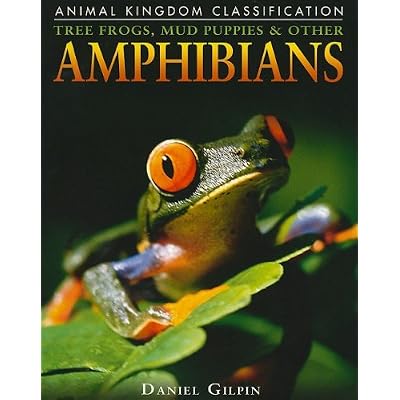 Tree Frogs, Mud Puppies & Other Amphibians