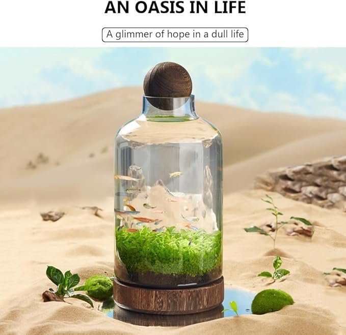 Szklany akwarium, samobiegowe, ekologiczne terrarium z drewnianą podstawą, dekoracyjny ornament na biurko do domu i biura