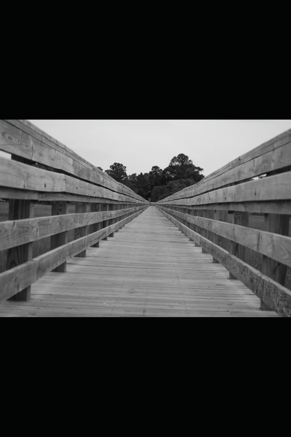 Not Taken: A Memoir of Exploitation, Survival, and Reclamation: 1 (The Not Taken Series)