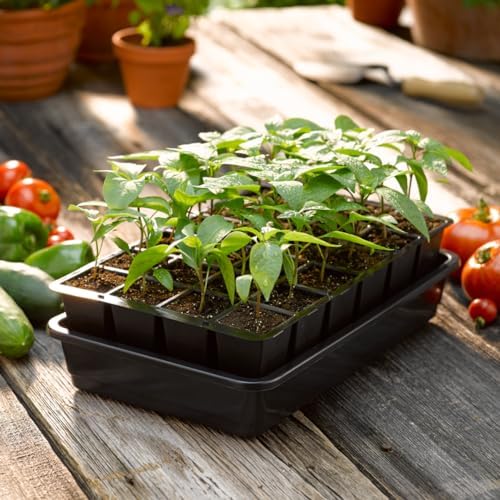 Gardener's Supply Company GrowEase Self Watering Seed
