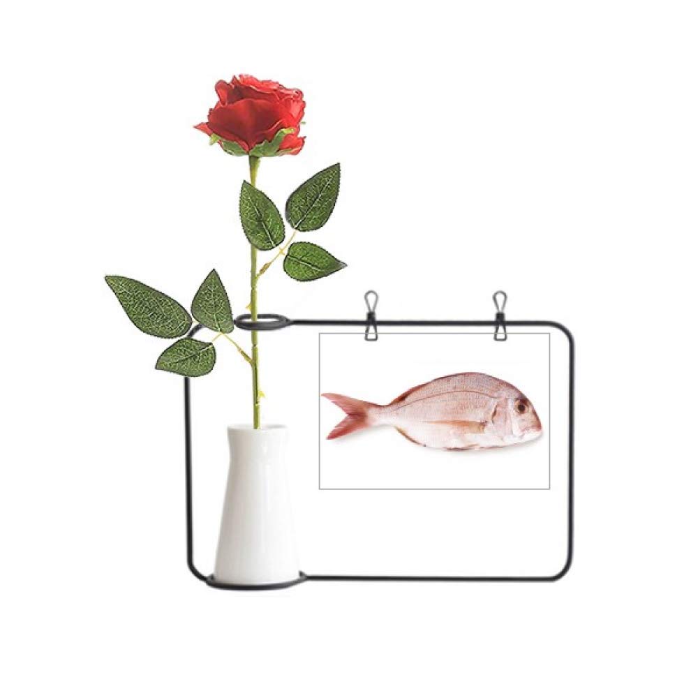 Petite rose artificielle Ocean Fish fleur suspendue vase bouteille