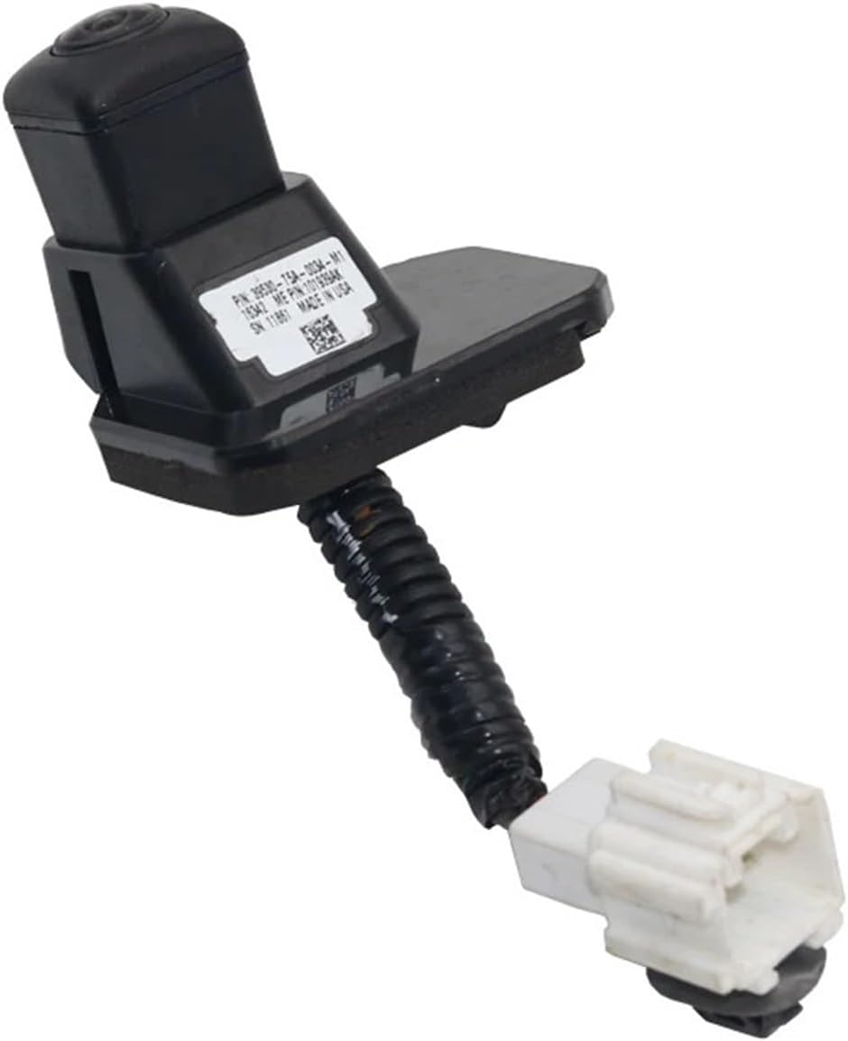 沖縄 わらび籠 2個セット 国吉春子 沖縄 わらび籠 2個セット 国吉春子