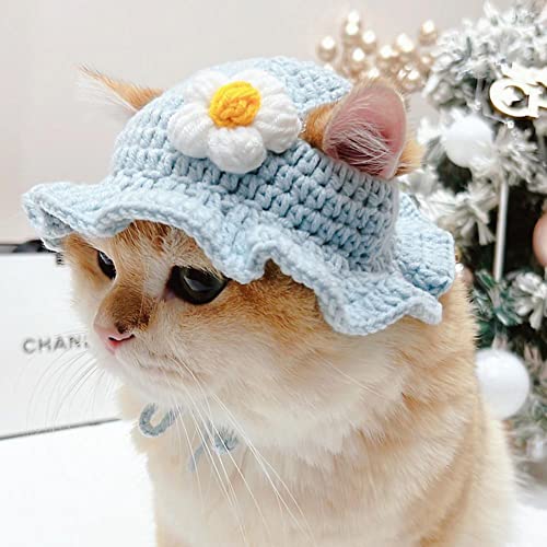 LpXq RXv L̃wAANZT[ JG/͂/sN̉/  \ EȒP p ybgpXq RXvEBbO  Xq ϑ LOBe nEB