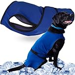 Lautus Pets XL Dog Cooling Vest - Easy On/Off Cooling Dog Coat with Double Velcro & Zip Neck, Lightweight & Portable Jacket for Dogs, Perfect for Owners, Walkers, Sitters & Pet Carers