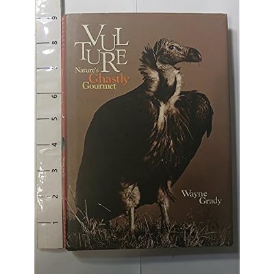 Vulture