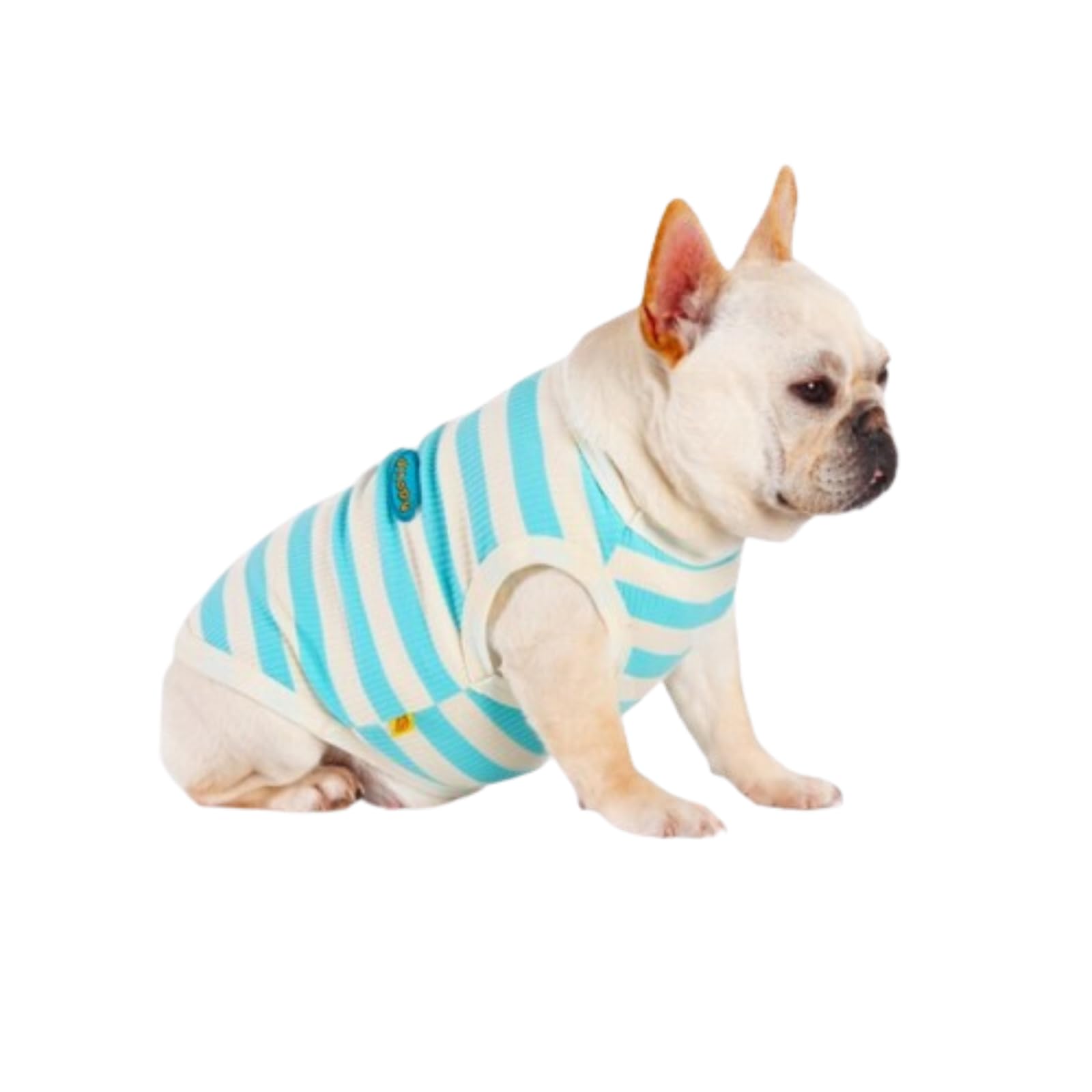 Amazon | FRENCH FRENCH フレンチブルドッグ 服 タンクトップ フレブル