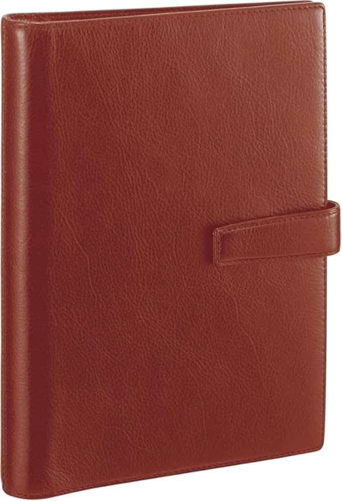 Raymei Fujii DSA3002C Personal Organizer, Da Vinci, Standard, A5, Brown