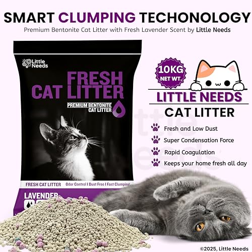 Image of Premium Bentonite Cat Litter Sand - 10kg | (5kg x 2 Packs) with Lavender Fragrance | Low-Dust, Strong Odour Control, Instant Clumping Litter for Cats & Kittens