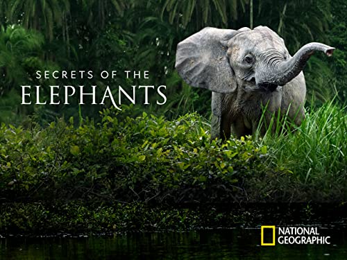 Secrets of the Elephants - Season 1