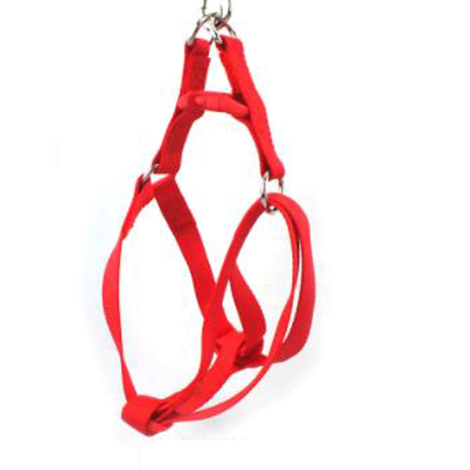 Collari per Cani di Base Collare per Cani in Nylon Regolabile con Fibbia ad Artiglio Resistente Collare per Animali Domestici per Cani di Piccola e Media Taglia Rosso Nero Blu Viola