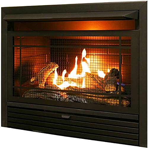 Duluth Forge Dual Fuel Ventless Insert-26,000 BTU, T-Stat Control gas fireplace, Black