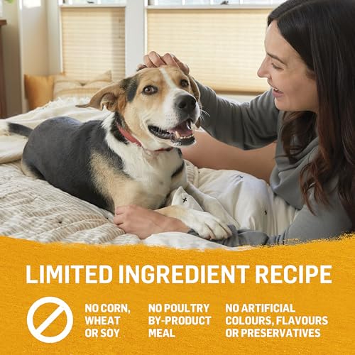Beyond Grain Free Natural Wet Dog Food, Ground Entree Variety Pack 3 Flavours - 368 g Can (6 Pack) image 7