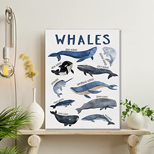 Moiol Nursery Educational Canvas Wall Art, Ocean Animal Whales Print Framed Poster 12 X 15 Inch Painting Decoration For Nursery Boy Girl Baby Room Playroom Classroom School #TOP2