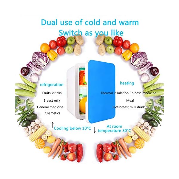 JTJxop Mini Fridge for Bedroom, 4L / 6 Cans Portable Fridge & Electric