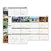 AAGPA133 - At-a-Glance Seasons in Bloom Erasable Planner