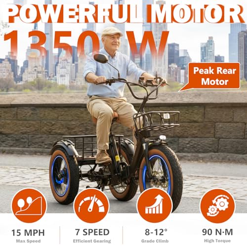 Electric Tricycle for Adults 750W(Peak 1350W) 48V15.6Ah