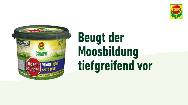 erdnuss saatgut Seedeo® Erdnuss (Arachis hypogaea) 10 Samen main image 0