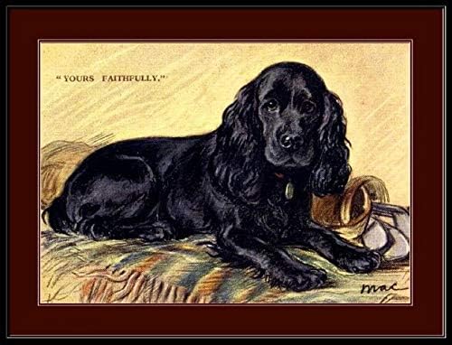 TYmall Letrero de metal para colgar en la pared con impresión inglesa de Cocker Spaniel, cachorros, perros, cachorros, decoración de pared, placa de