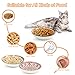 Katzennapf 6er Set, Futternapf Katze Keramik, Katzen Napf Bunte, Katzennäpfe Flacher, Katzenfutter Napfset, Katzen Näpfe für Futter und Wasser, Katzenteller Katzenschüssel, Kätzchen-Futternapf