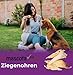 mascota vital - Getrocknete Ziegenohren für Hunde – 100% Natürlicher Kausnack, Schonend Getrocknet, Ohne Zusatzstoffe, Fördert Zahngesundheit & Langanhaltenden Kauspaß