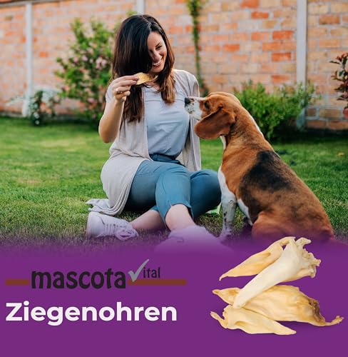 mascota vital - Getrocknete Ziegenohren für Hunde – 100% Natürlicher Kausnack, Schonend Getrocknet, Ohne Zusatzstoffe, Fördert Zahngesundheit & Langanhaltenden Kauspaß