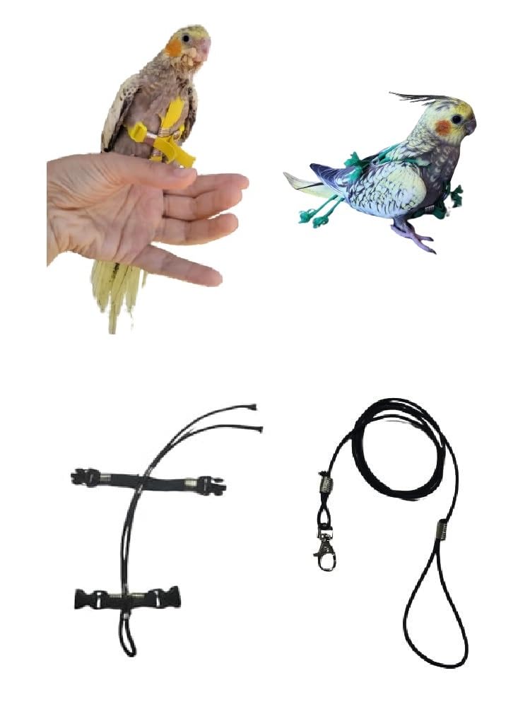Arnés para calopsite con cinta elástica de 10 mm ajustable para loros de todas las razas