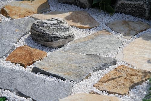 ʍ  100Y VR ^ zCg ϗtA Ԓd eX O\| ԏK[fjO ~G}  2(6`9) (, 20kg)