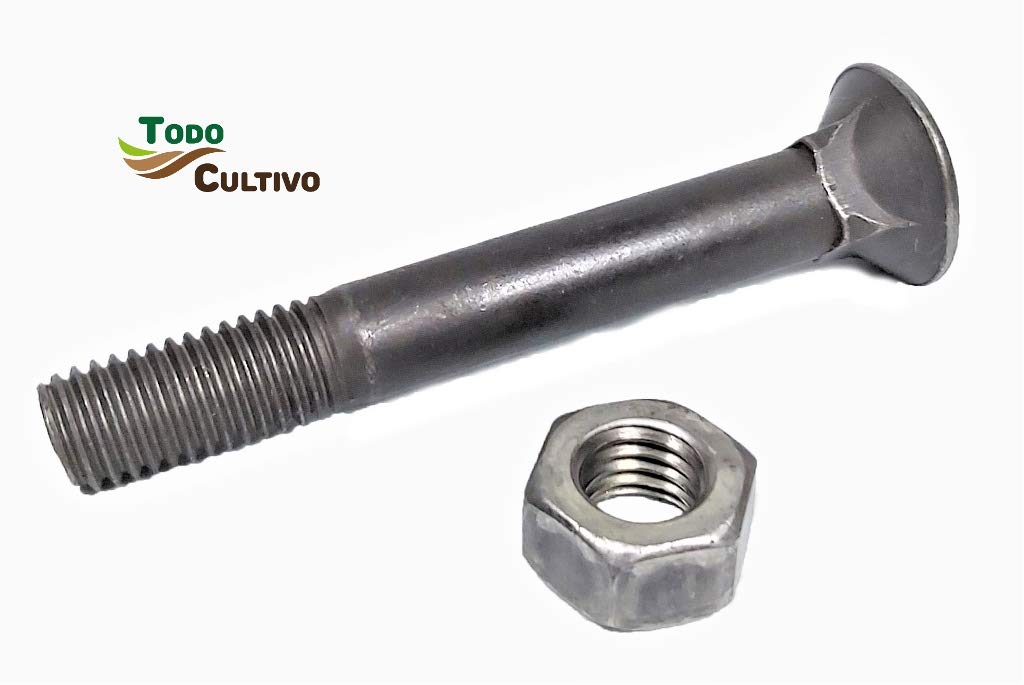 Tornillo de Arado 12X60 DIN 608. Caja 50 Uds. Tornilleria de máxima calidad marca San Lorenzo, con cabeza avellanada especial rejas de arado.