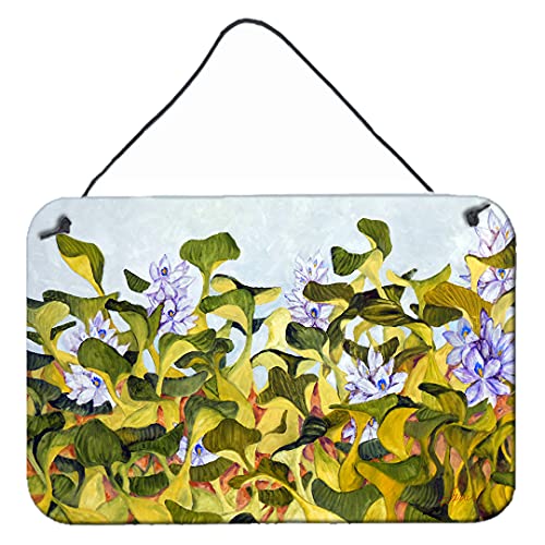 Caroline's Treasures FHC1004DS812 Water Hyacinth Wall or Door Hanging Prints Aluminum Metal Sign Kitchen Wall Bar Bathroom Plaque Home Decor, 8x12, Multicolor