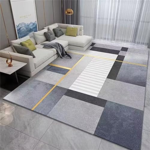 Tapis entrée extérieur et salon 160x200cm lavable grand format