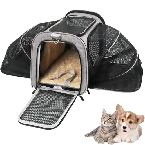 Bolsa Pet Expansível para Transporte em Avião Cães e Gatos Ventilada até 14kg Tela Arejada e Tapete Removível - Duke & Dixie