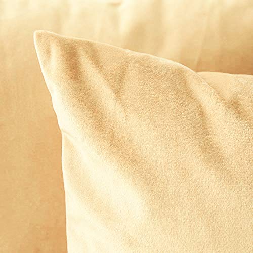 Image of Khooti Velvet Cushion Cover Pack of 1-34 inch x 34 inch / 86 x 86 cm - Wheat - Soft Pillow Covers Cushion Case for Sofa Bedroom Livingroom Chair Car, Cushion Cover